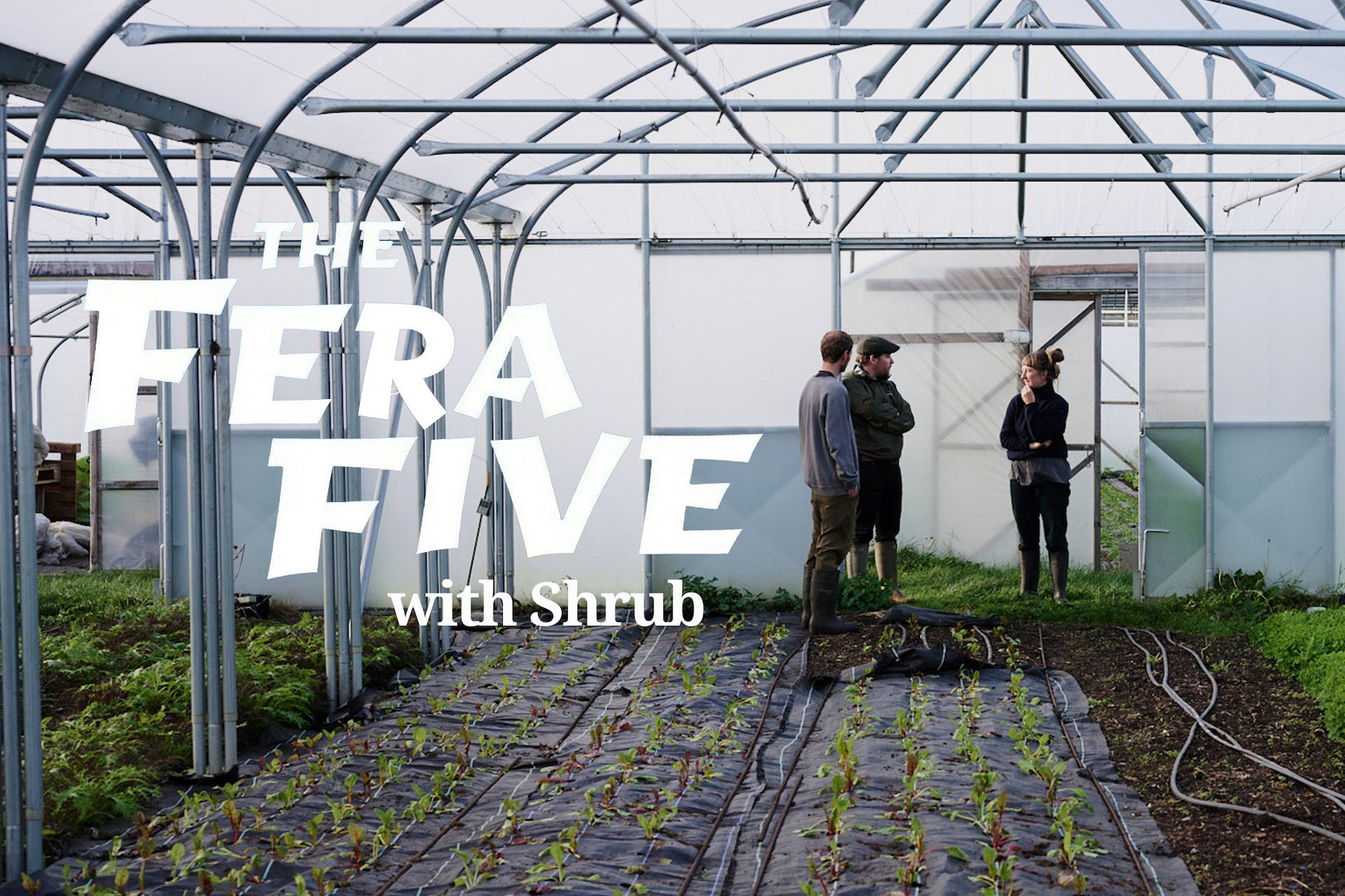 Fera interviews Shrub Provisions