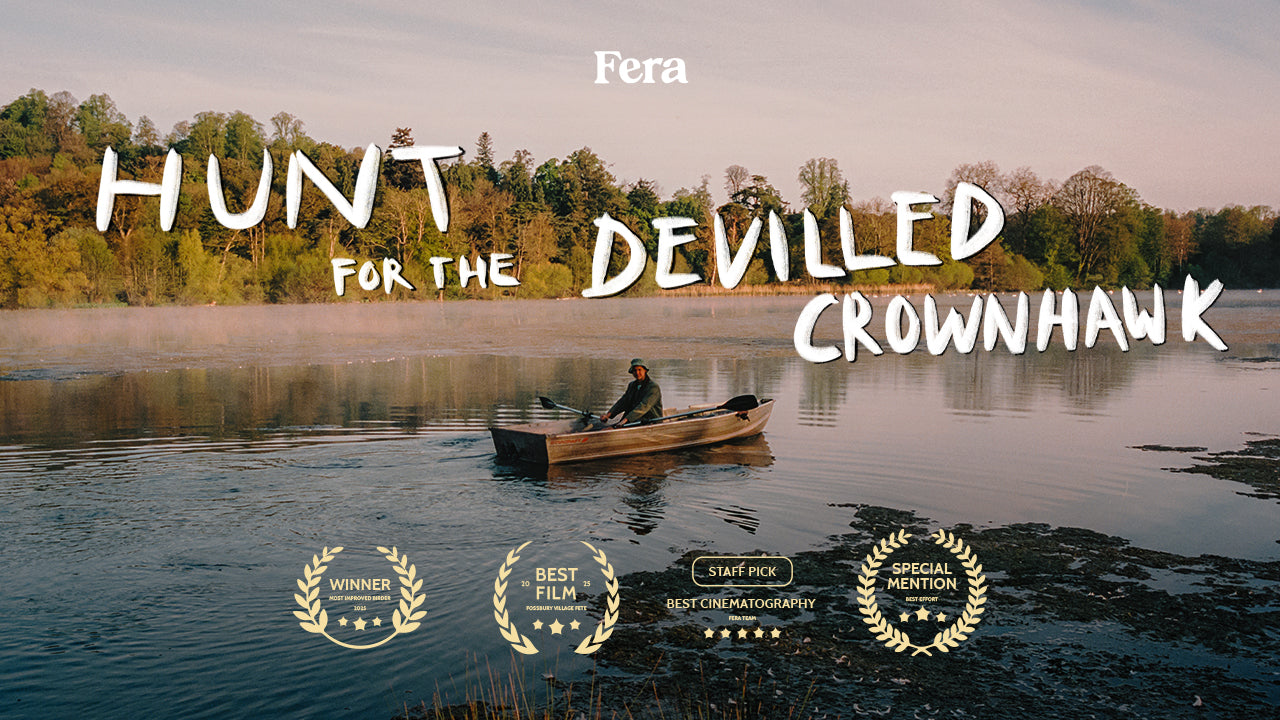 Hunt for the Devilled Crownhawk